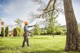 Best Tree and Shrub Care  in Heyburn, ID